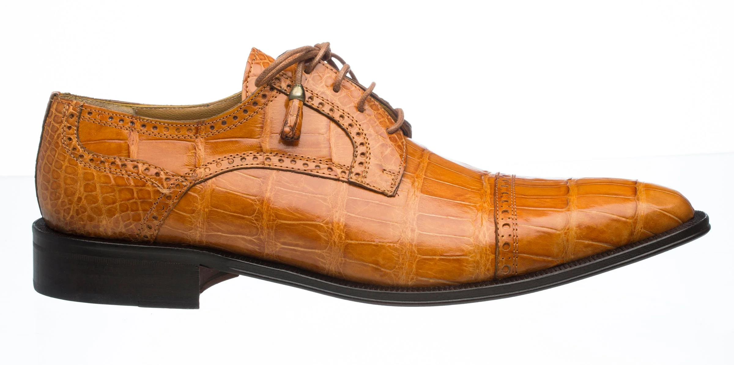 Ferrini Belly Alligator 216