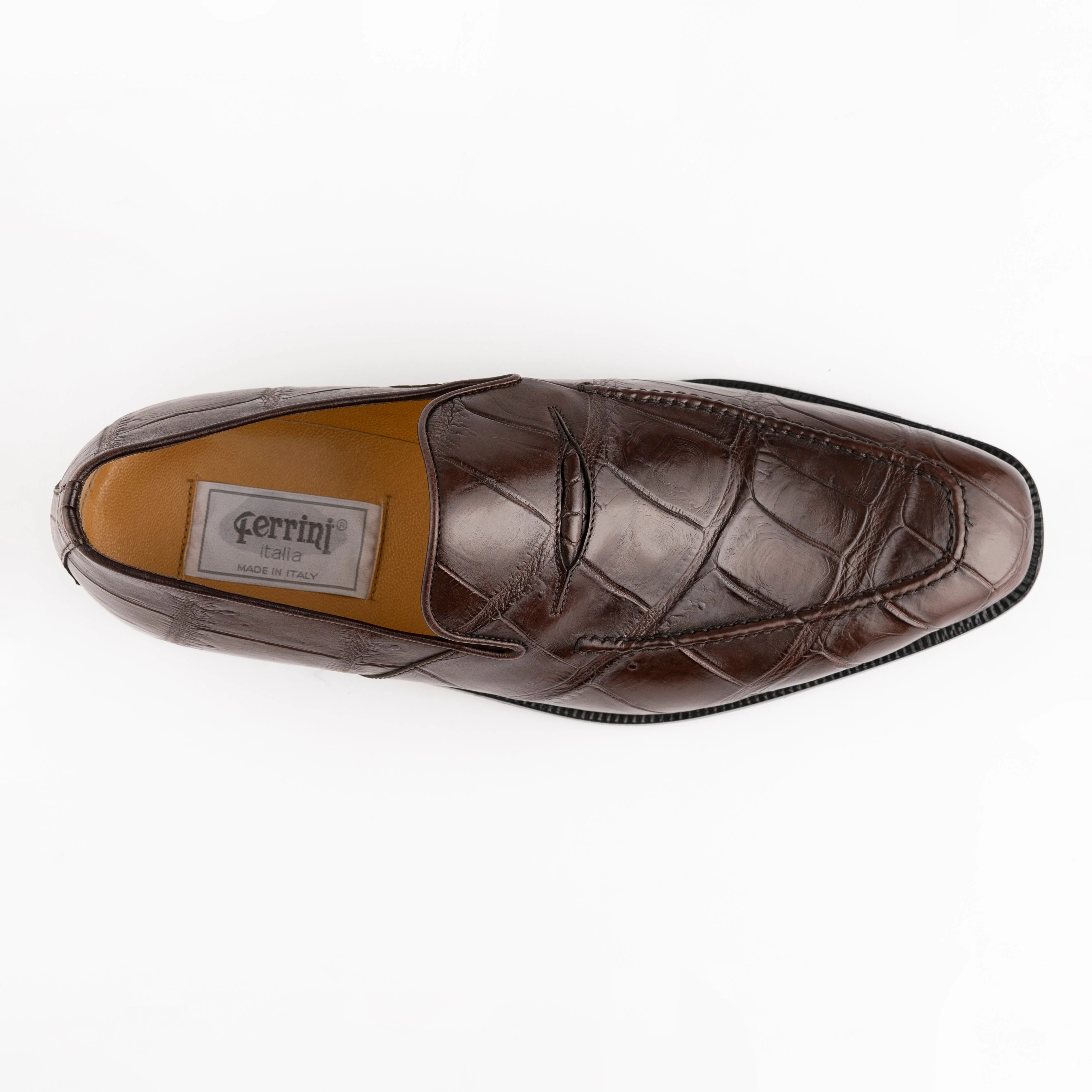 Ferrini Alligator 3877 - Image 2