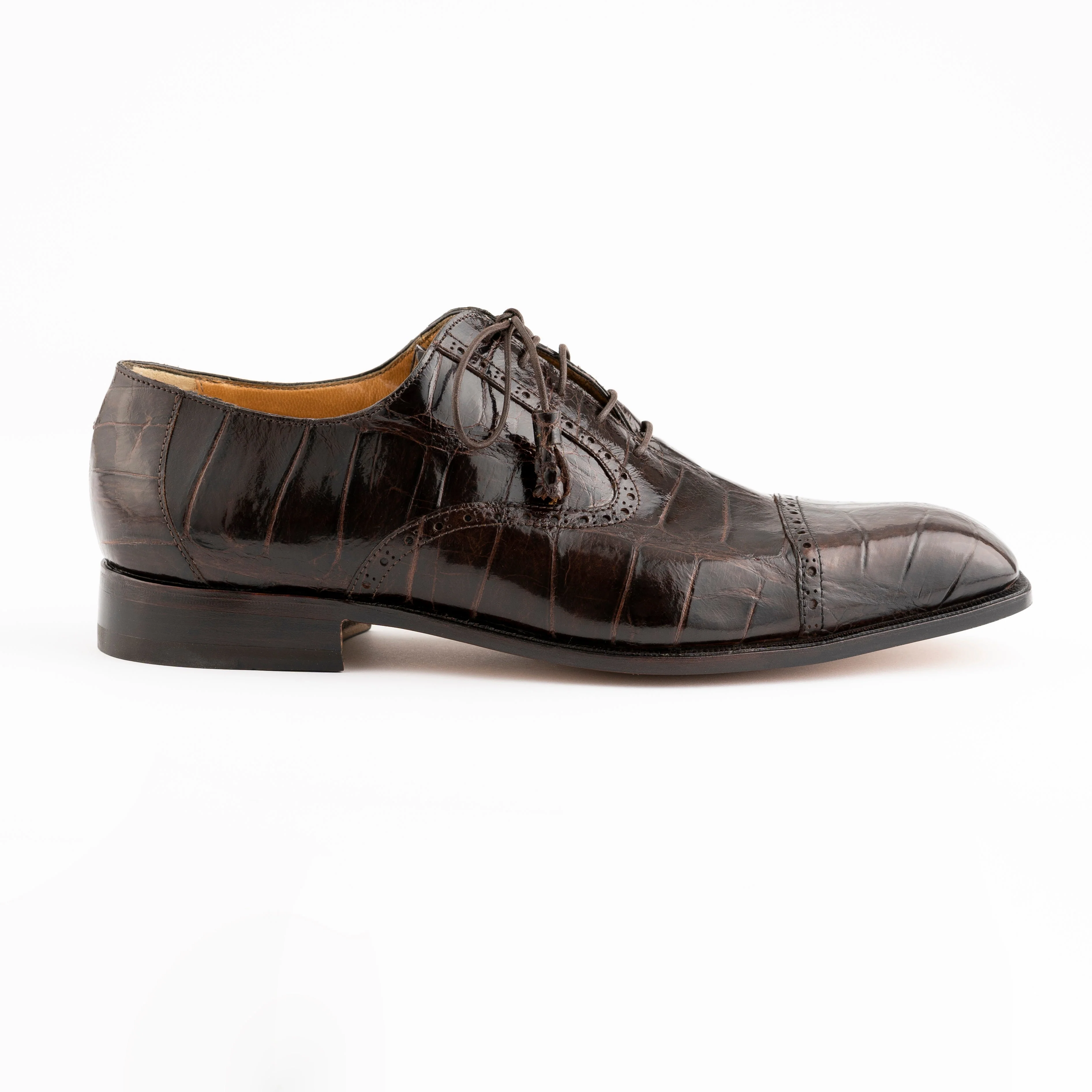 Ferrini Belly Alligator-3922