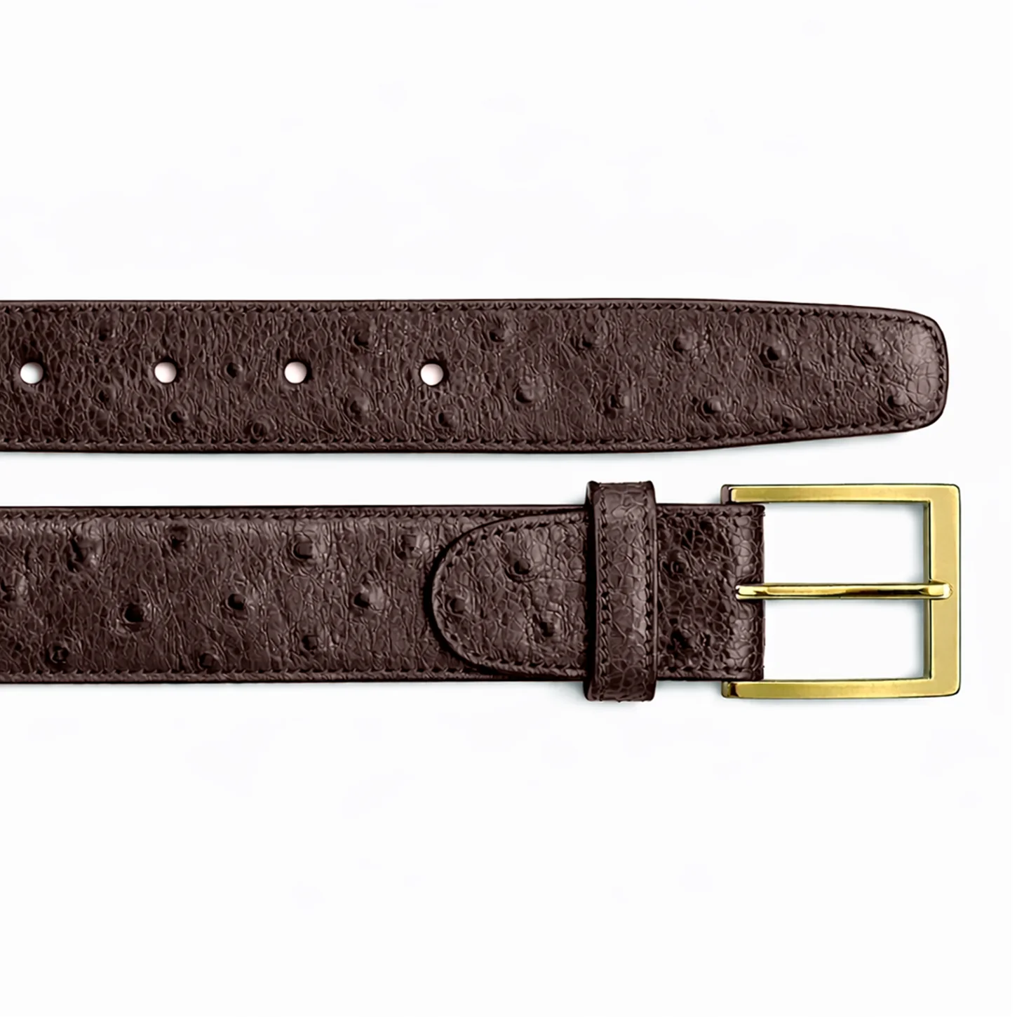 Belvedere Blake - Black/Gold