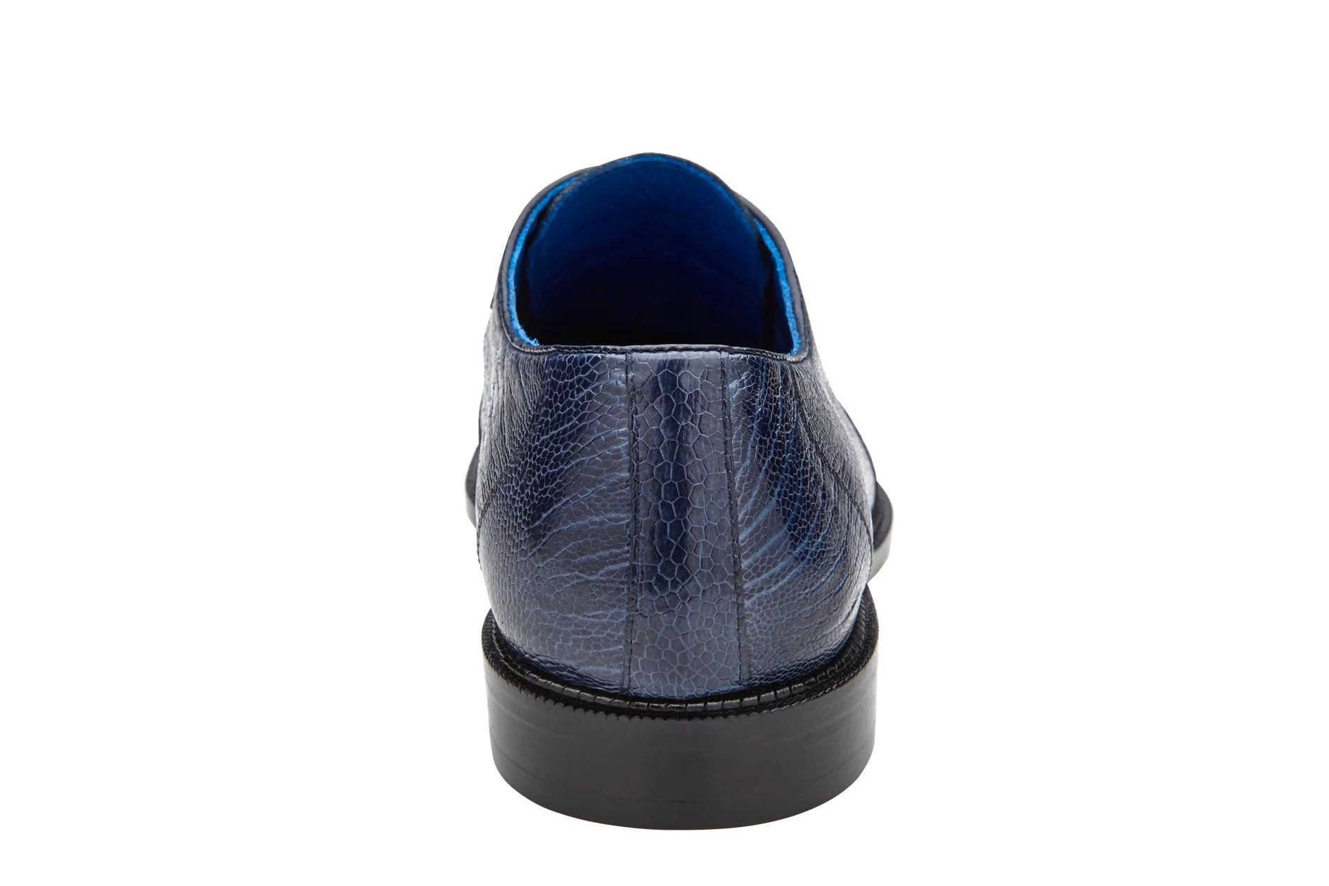 Belvedere Siena - Navy - Image 5