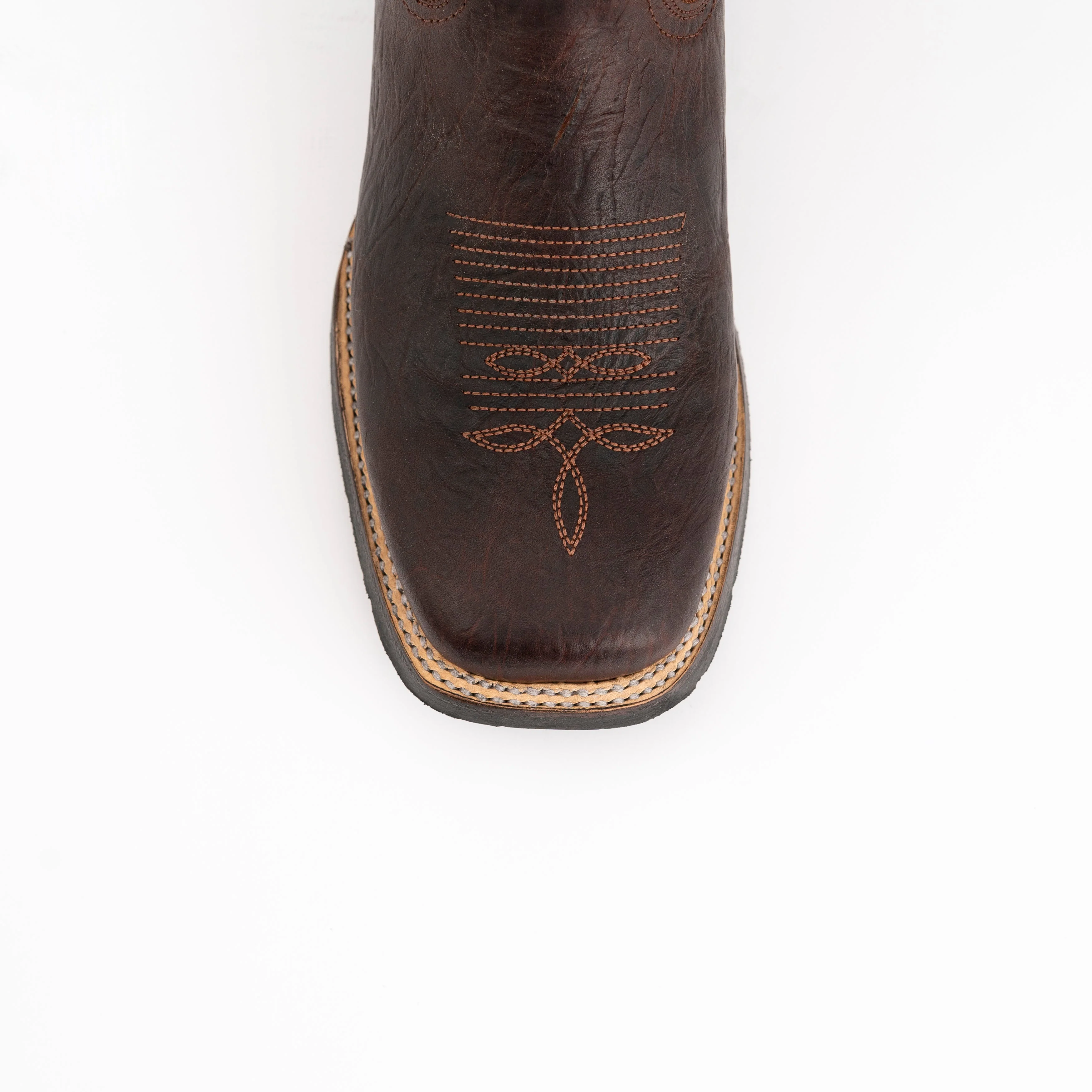 Ferrini Blaze - Image 5