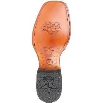 Botas de Piton Original Horma Ranchera - Image 7