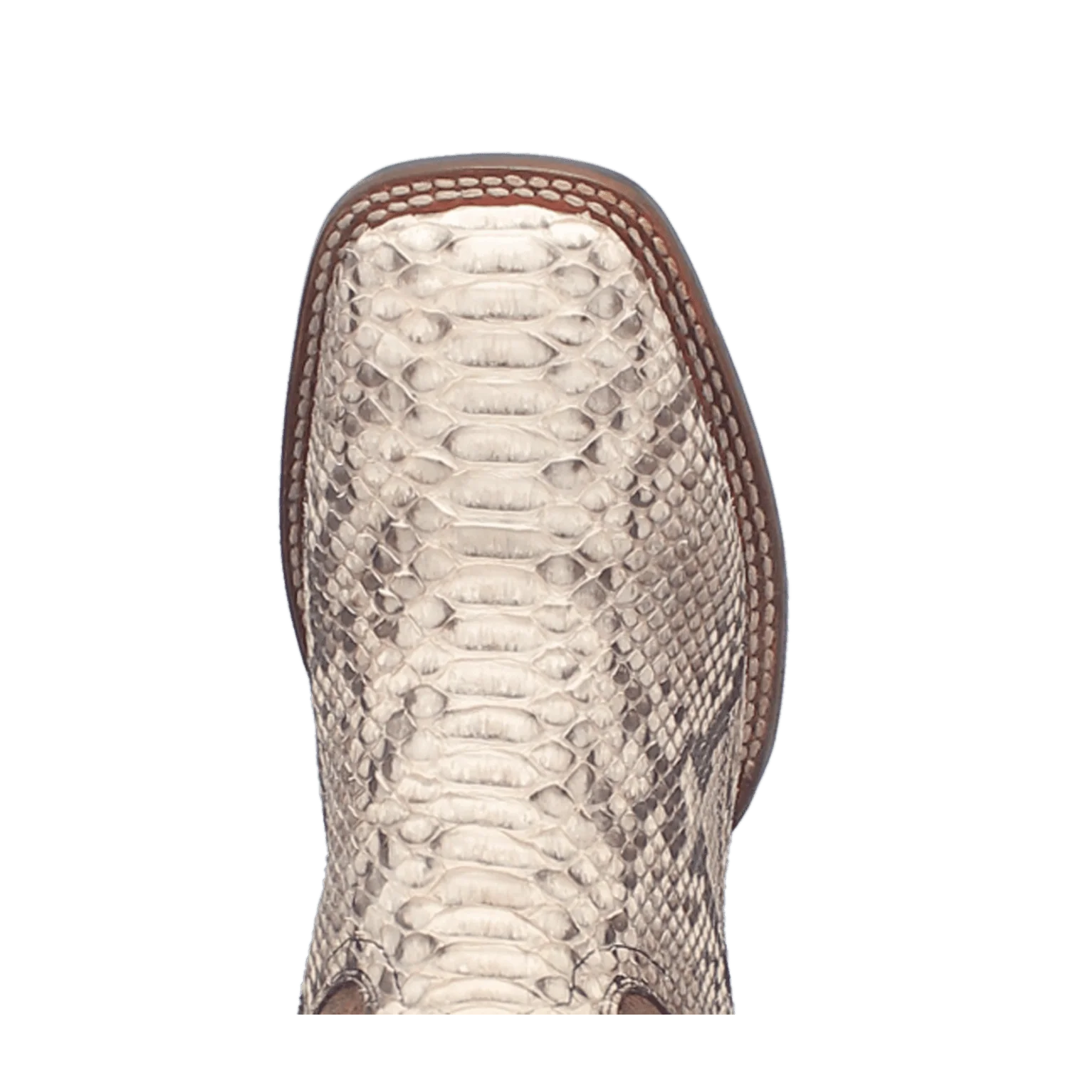 BRUTUS PYTHON BOOT - Image 6