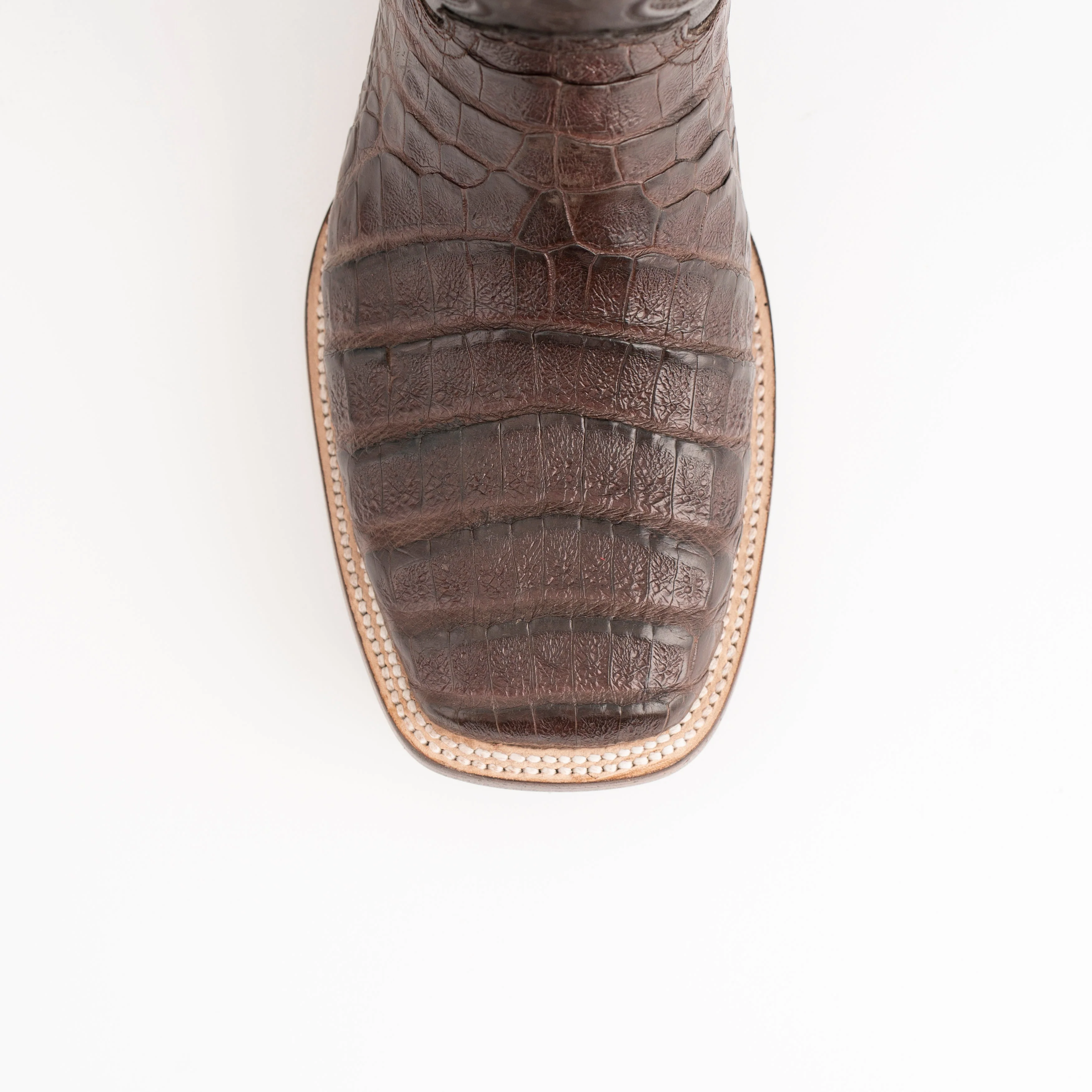Ferrini Belly Caiman Dakota - Image 2