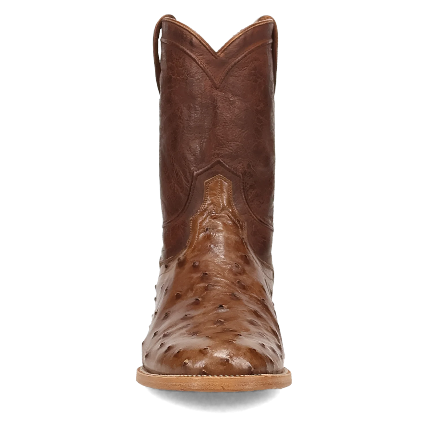 ARDOR FULL QUILL OSTRICH BOOT - Image 7