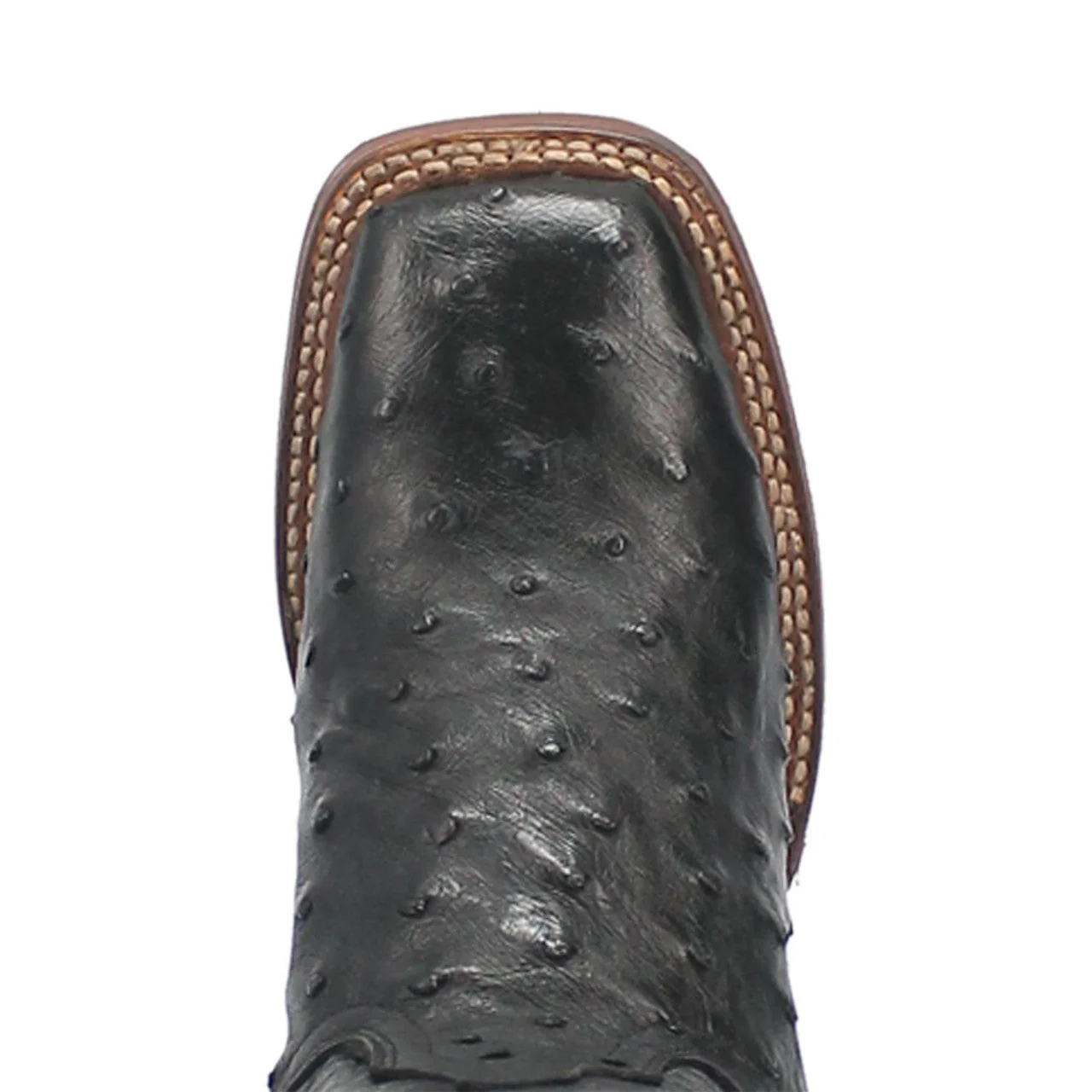 Dan Post Kylo Black Full-Quill Ostrich Boots - Image 5