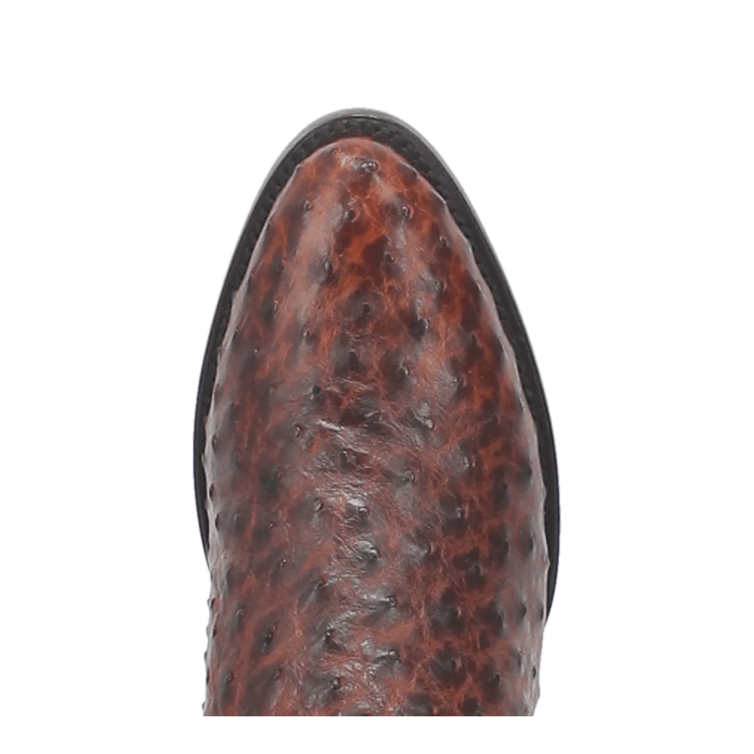 PERSHING FULL QUILL OSTRICH BOOT - Image 6