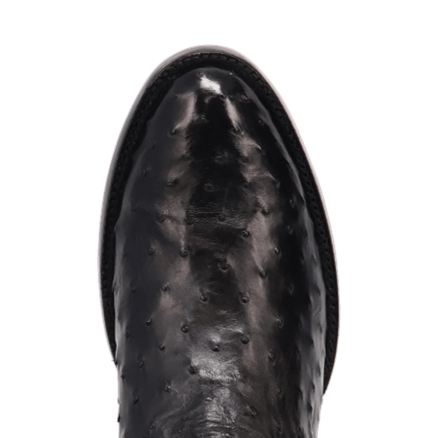 STANFORD FULL QUILL OSTRICH BOOT - Image 6