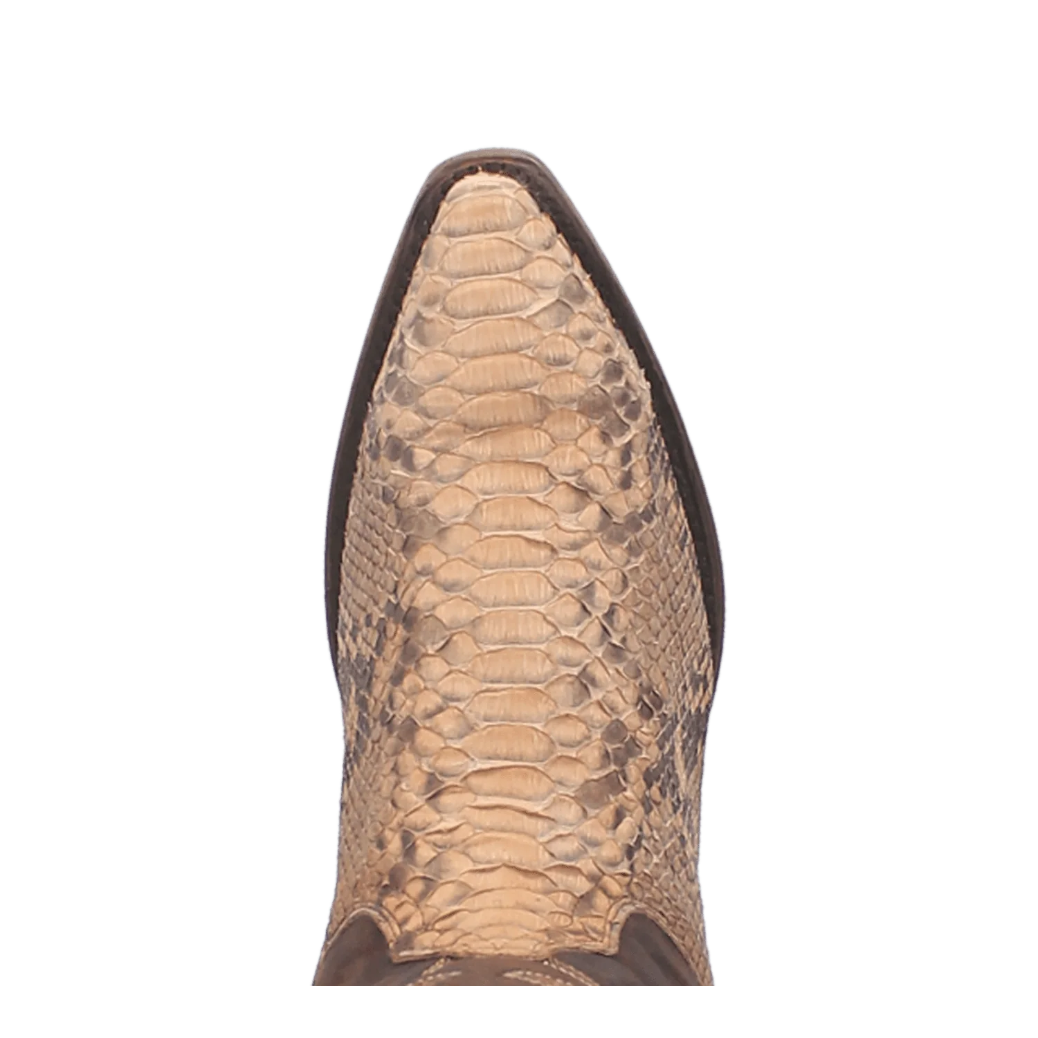 STURGIS PYTHON BOOT - Image 6
