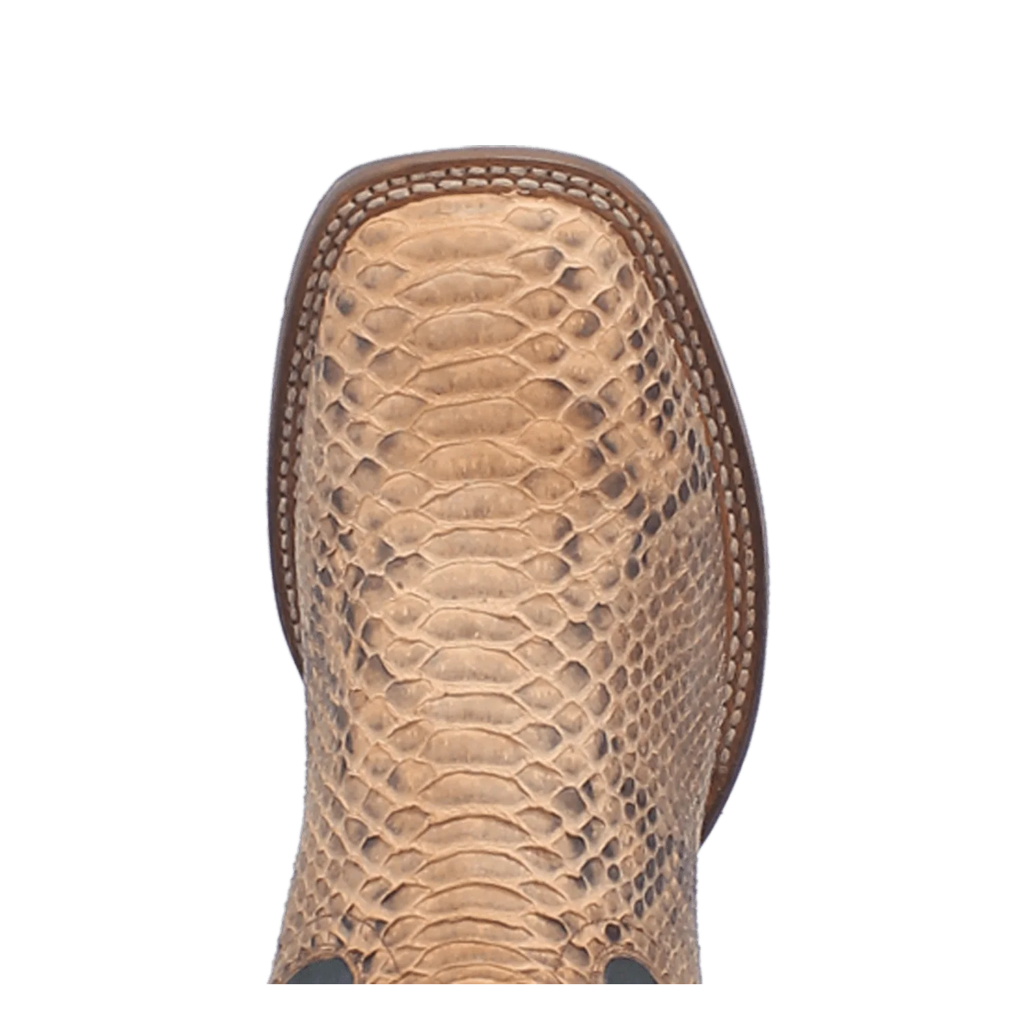 TEMPLETON PYTHON BOOT - Image 13