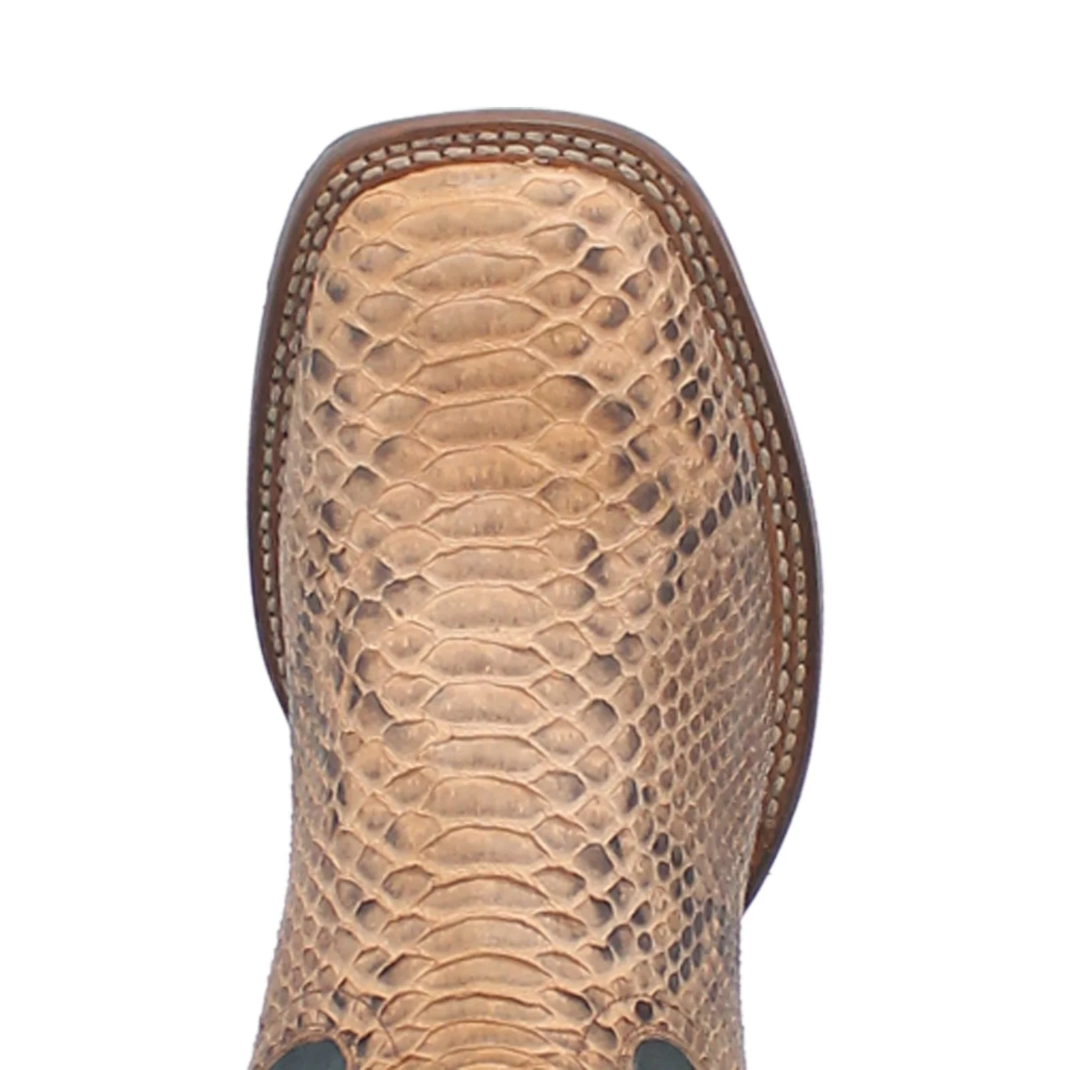 TEMPLETON PYTHON BOOT - Image 6