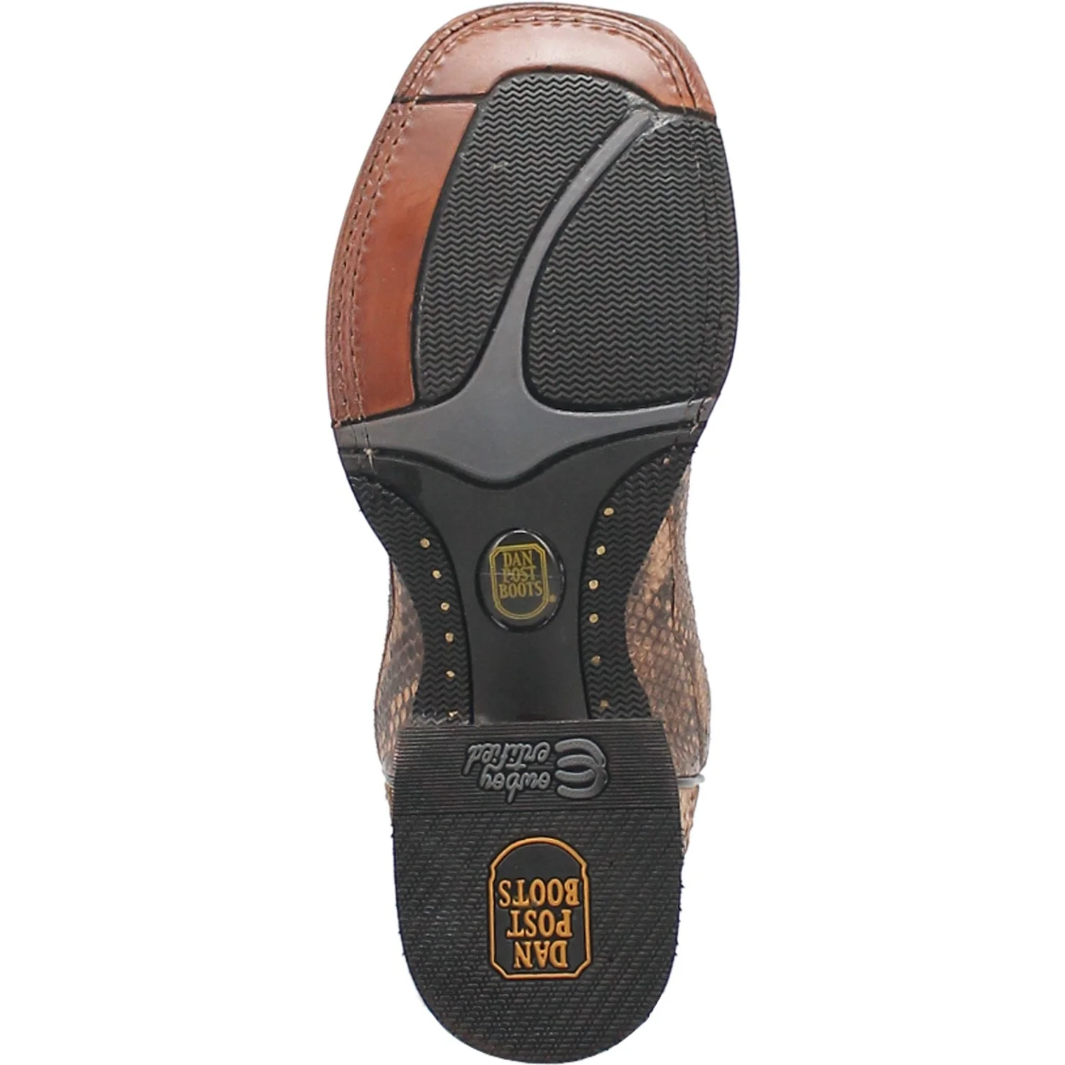 TEMPLETON PYTHON BOOT - Image 7
