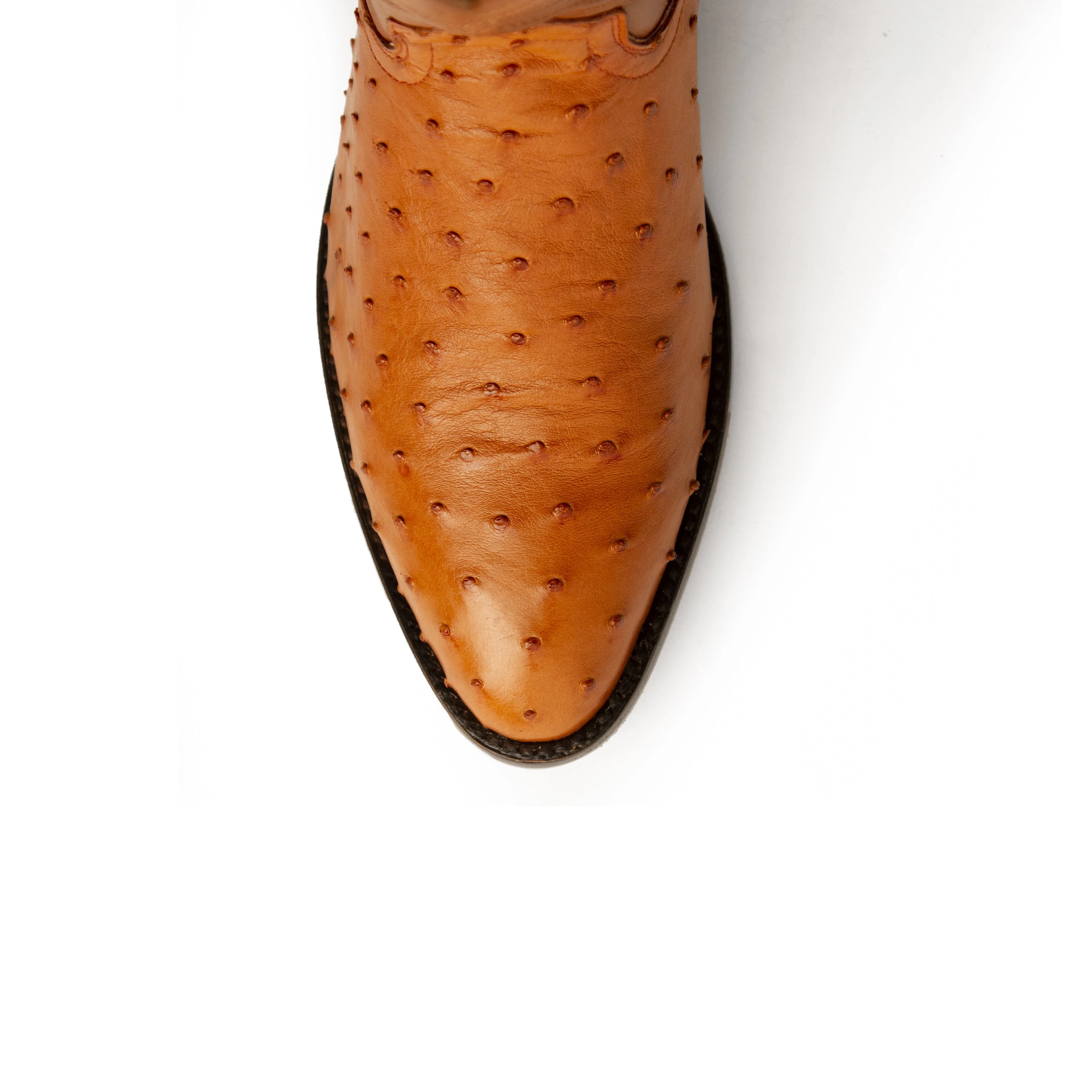 Ferrini Colt - Men's Full Quill Ostrich - Image 2