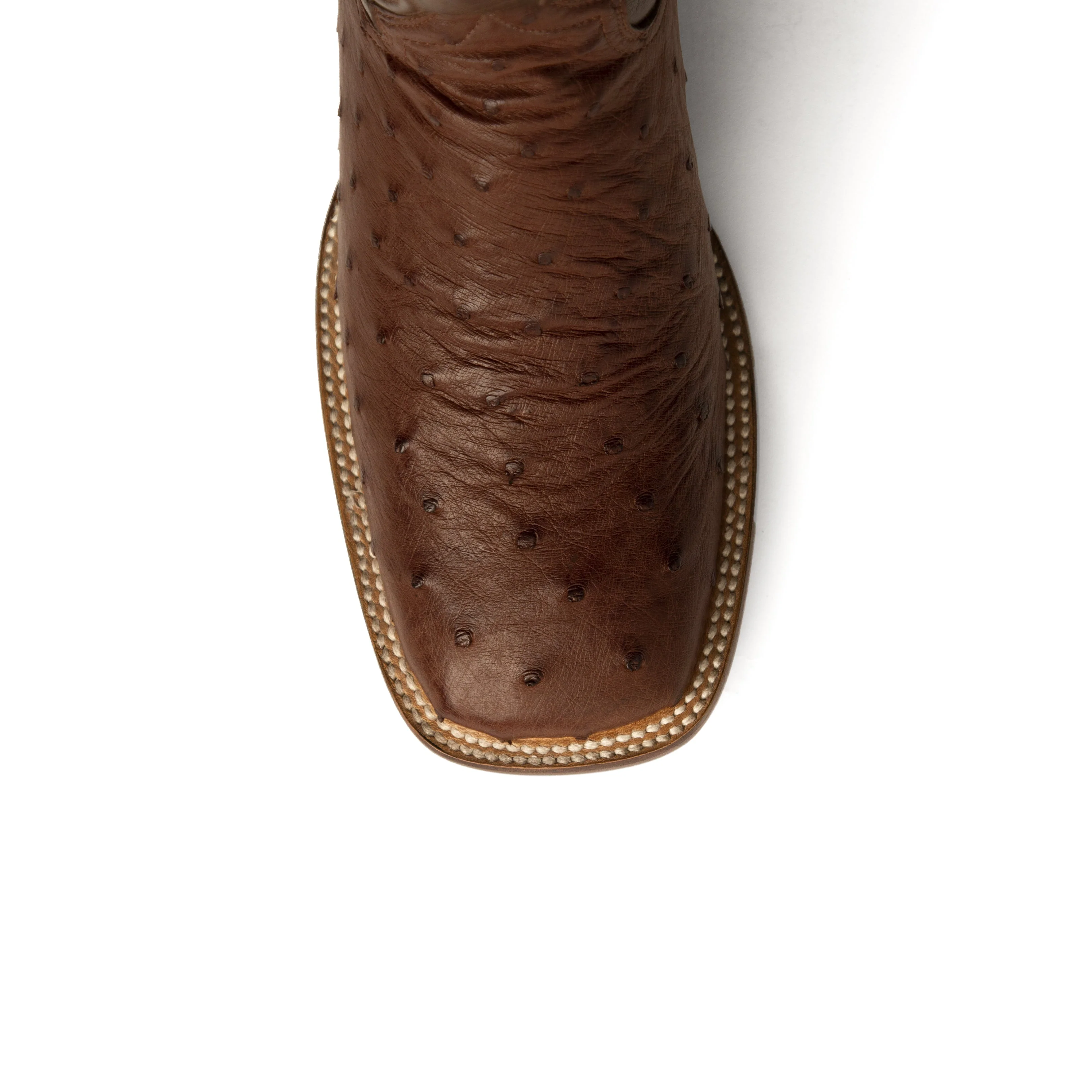 Ferrini Colt - Men's Full Quill Ostrich - Image 5