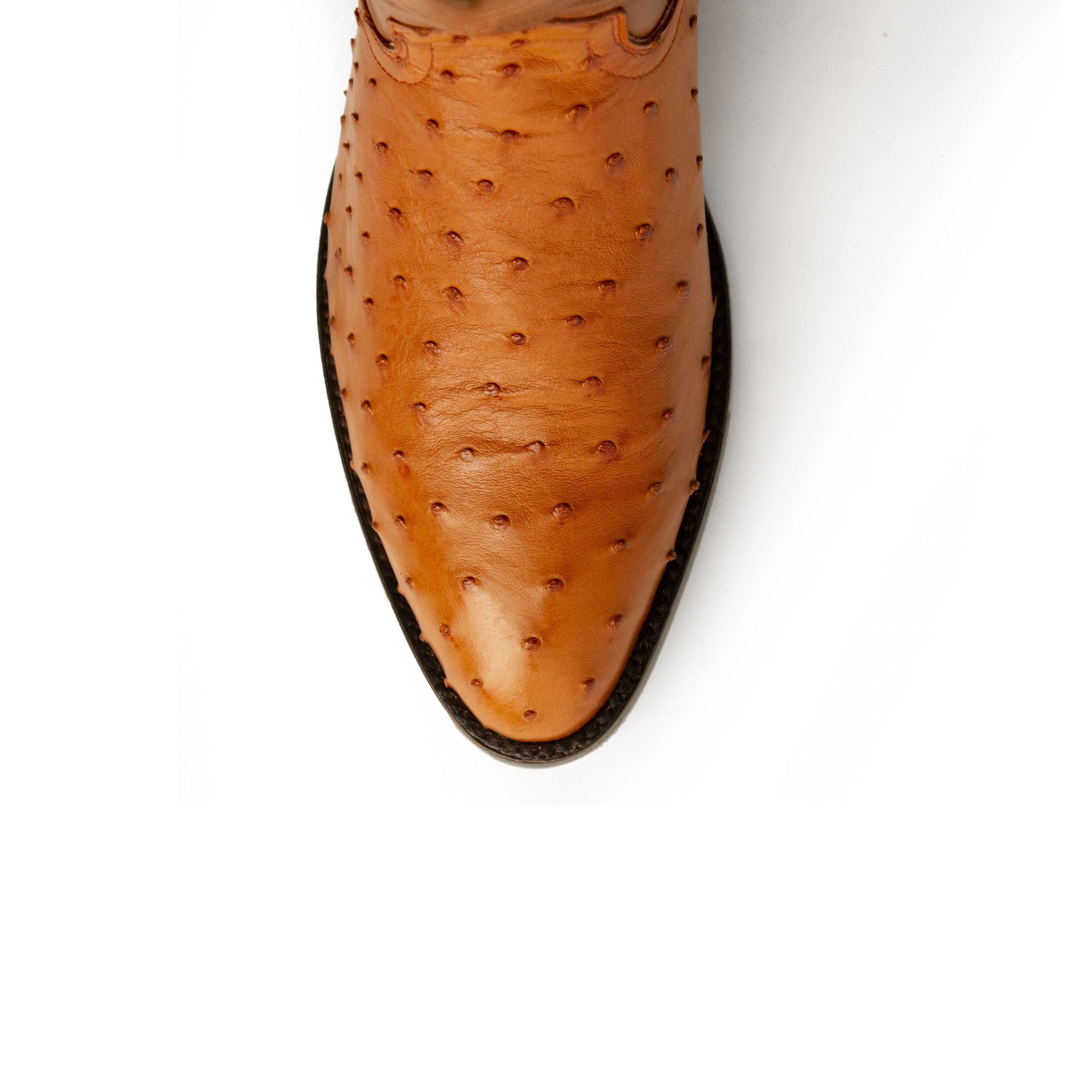 Ferrini Colt Ostrich Quill Medium Round Toe Cowboy Boot in Cognac - Image 2