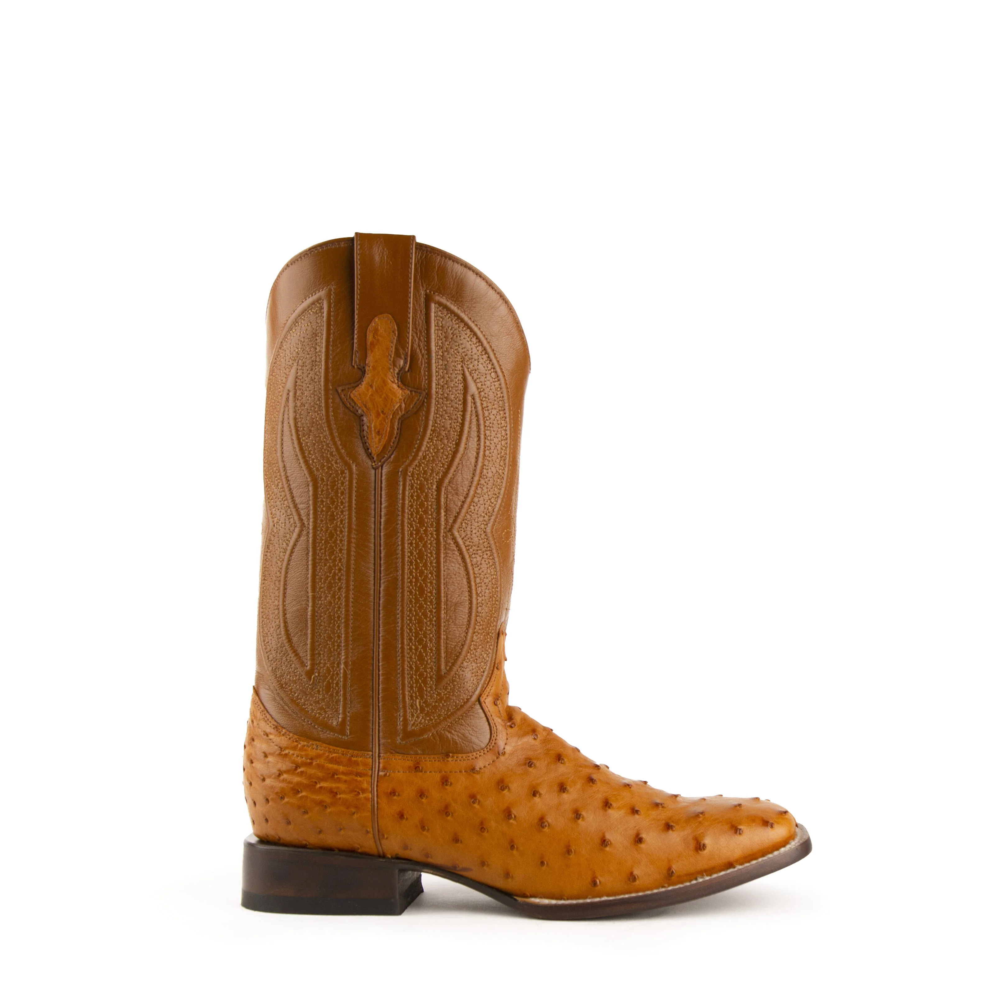 Ferrini Colt - Men's Full Quill Ostrich - Image 3