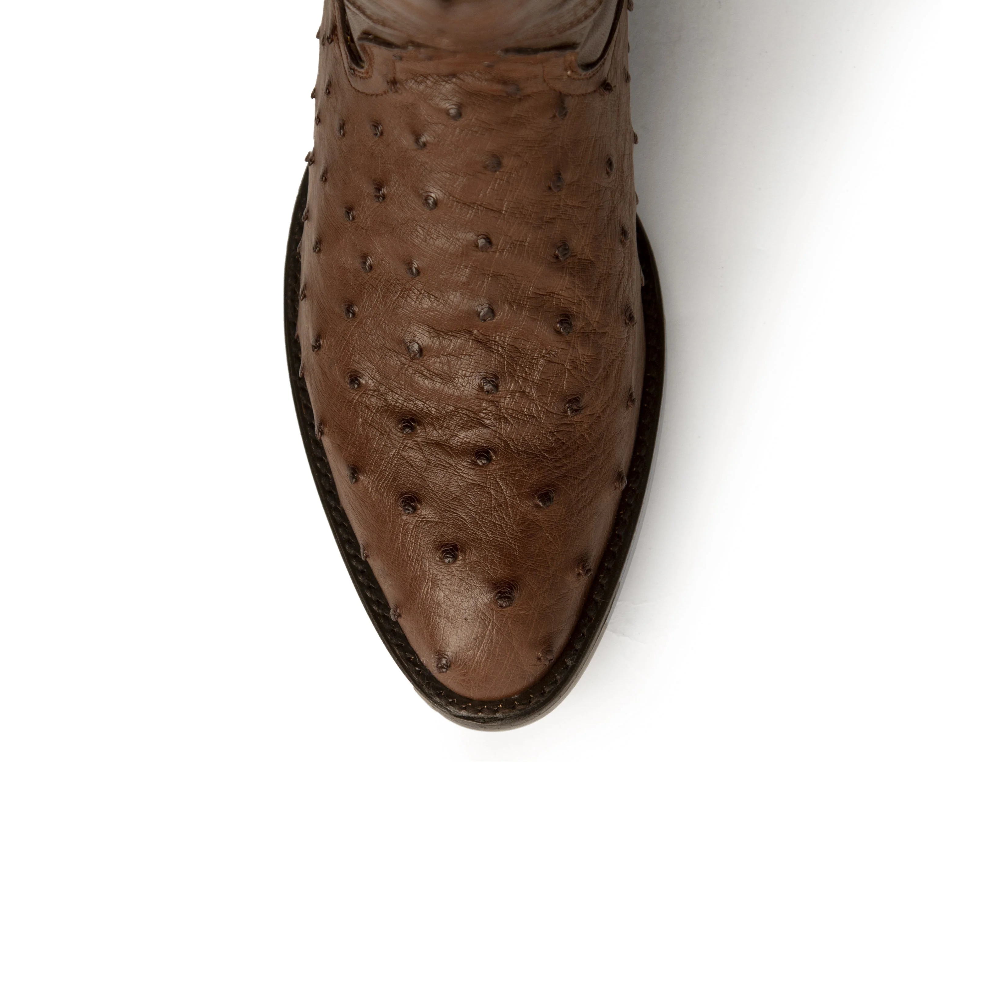 Ferrini Colt - Men's Full Quill Ostrich - Image 2