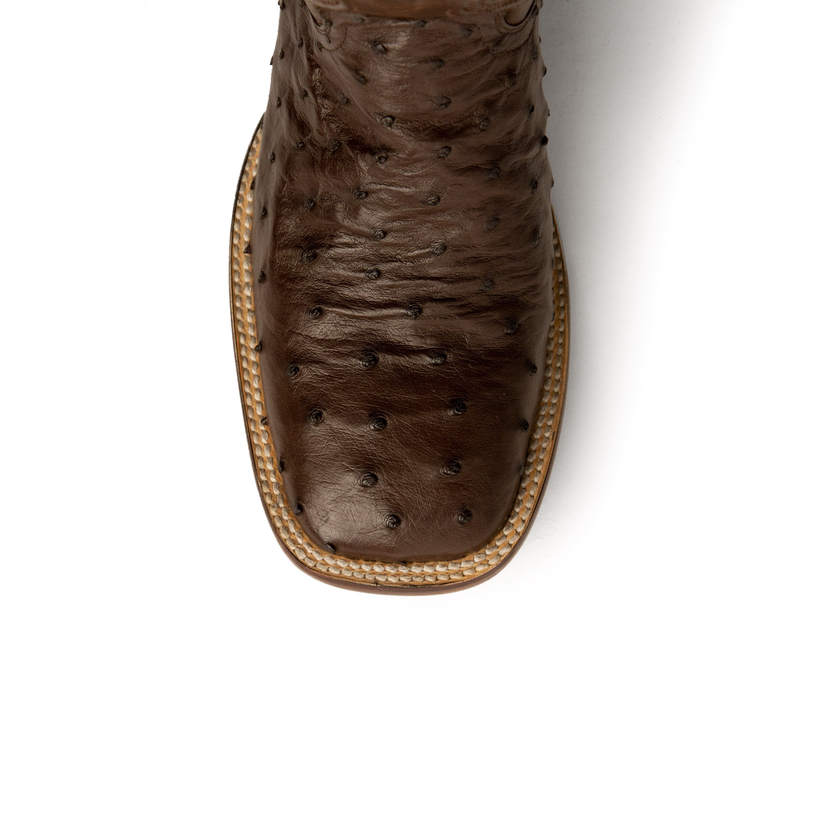 Ferrini Colt Ostrich Quill Square Toe Cowboy Boot in Brown - Image 2