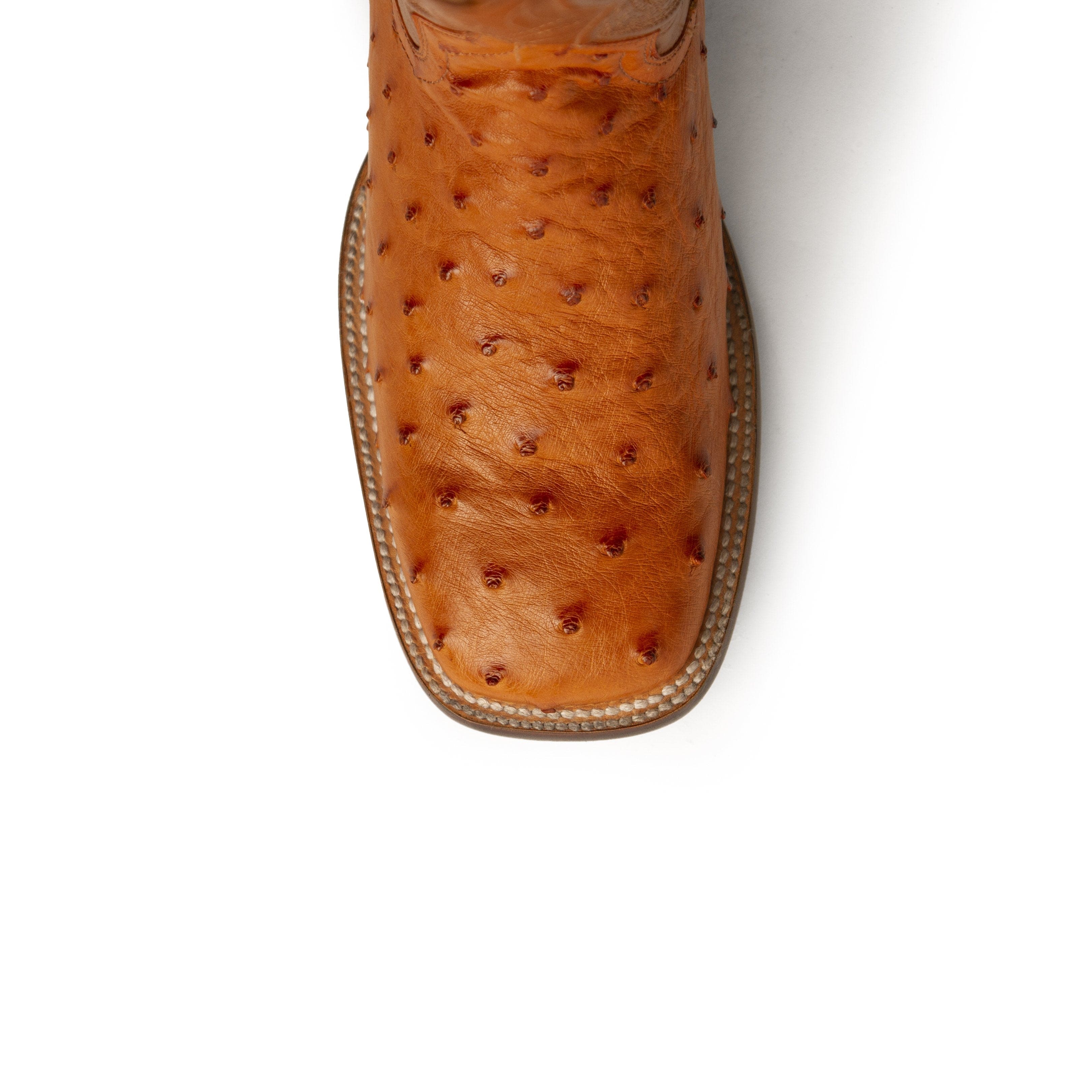 Ferrini Colt Ostrich Quill Square Toe Cowboy Boot in Cognac - Image 2