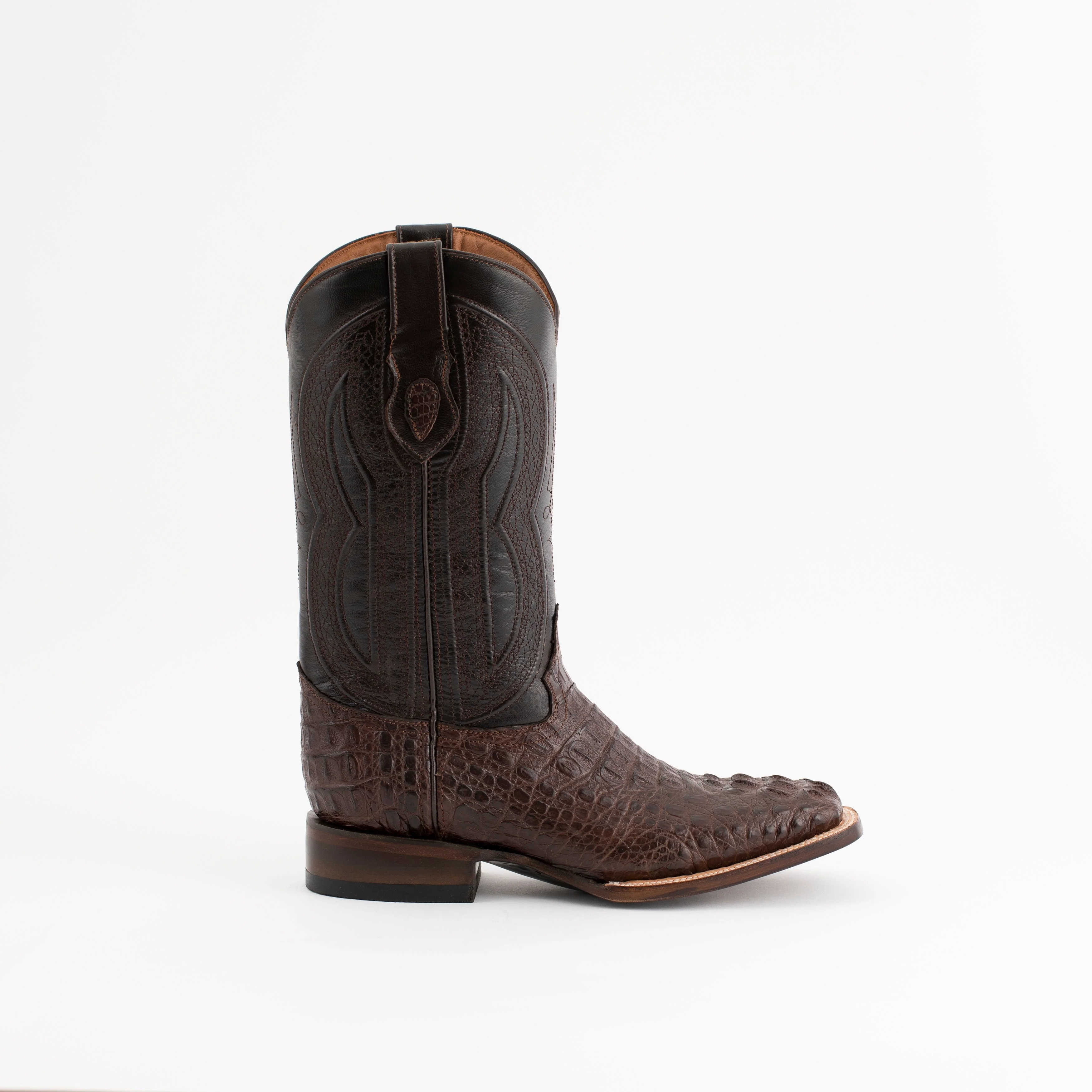 Ferrini Hornback Caiman Dakota - Image 3