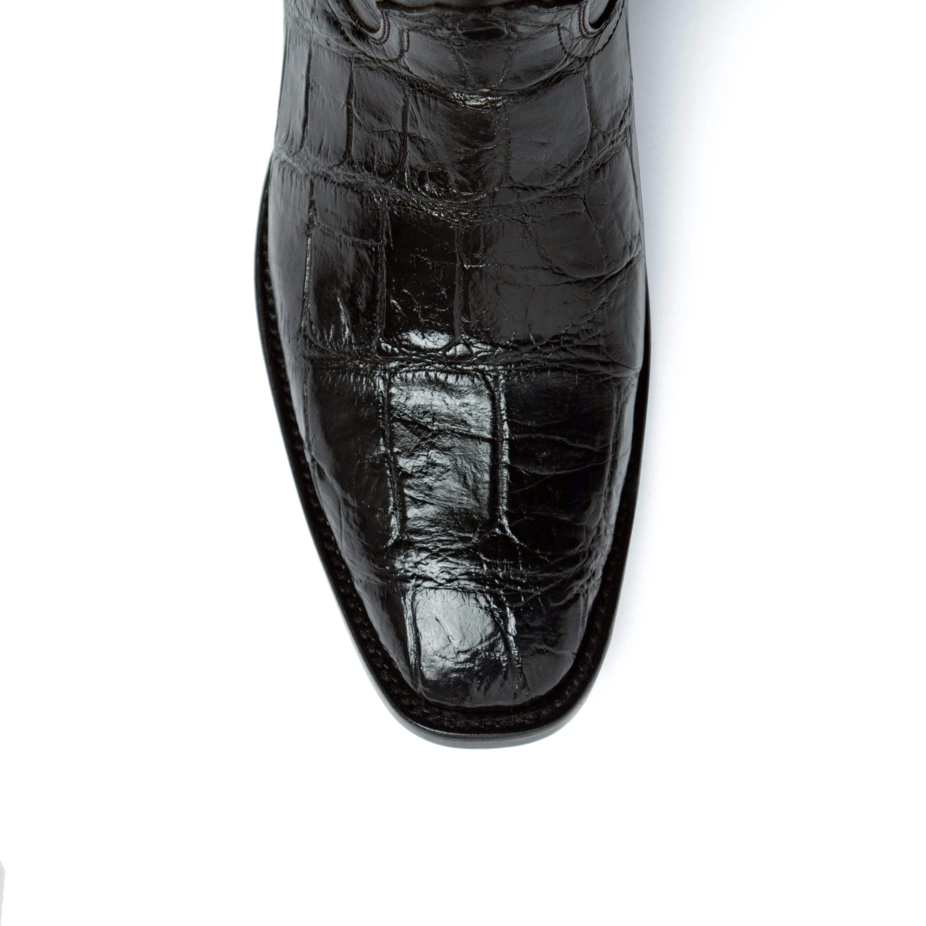 Ferrini Stallion - American Alligator - Image 2