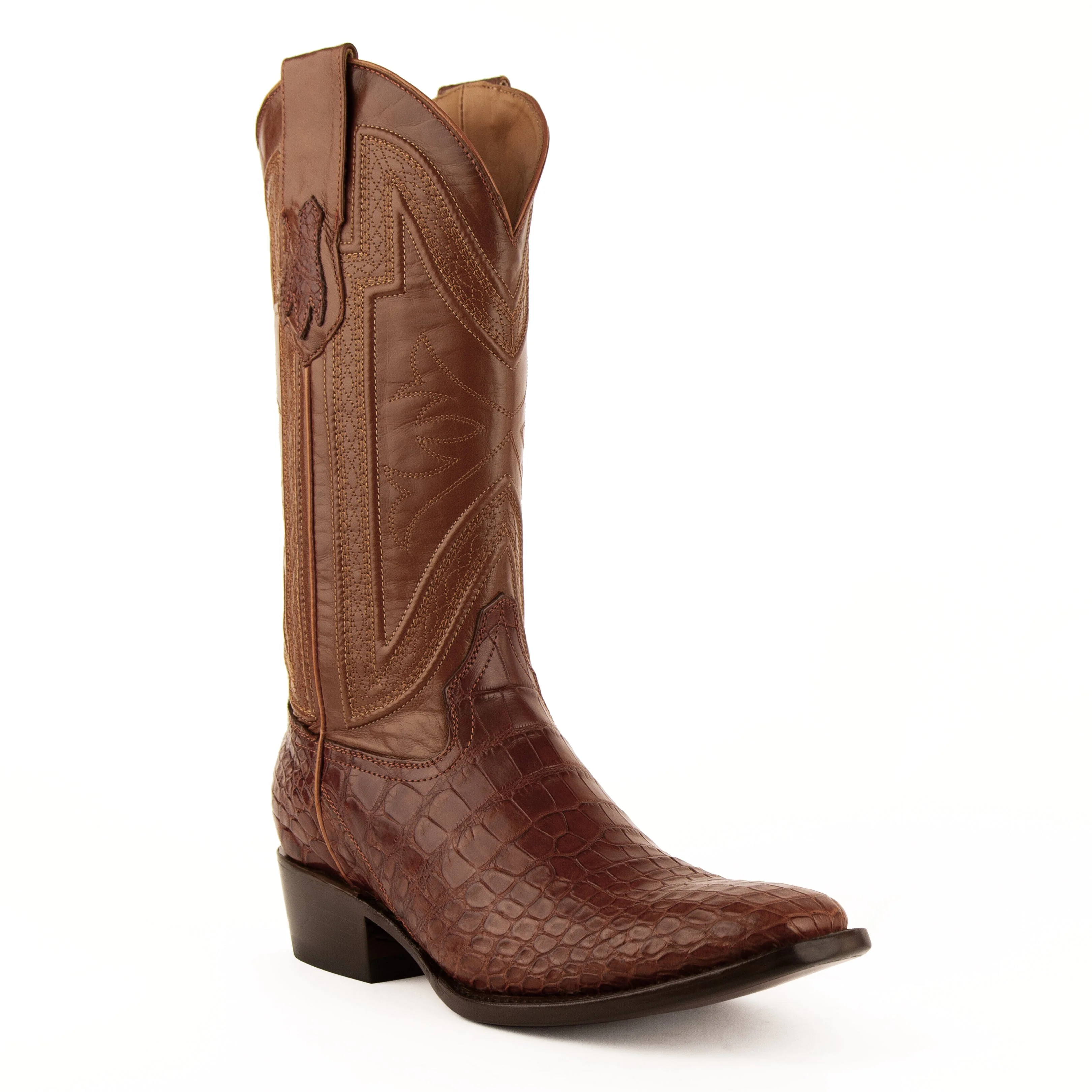 Ferrini Stallion - American Alligator