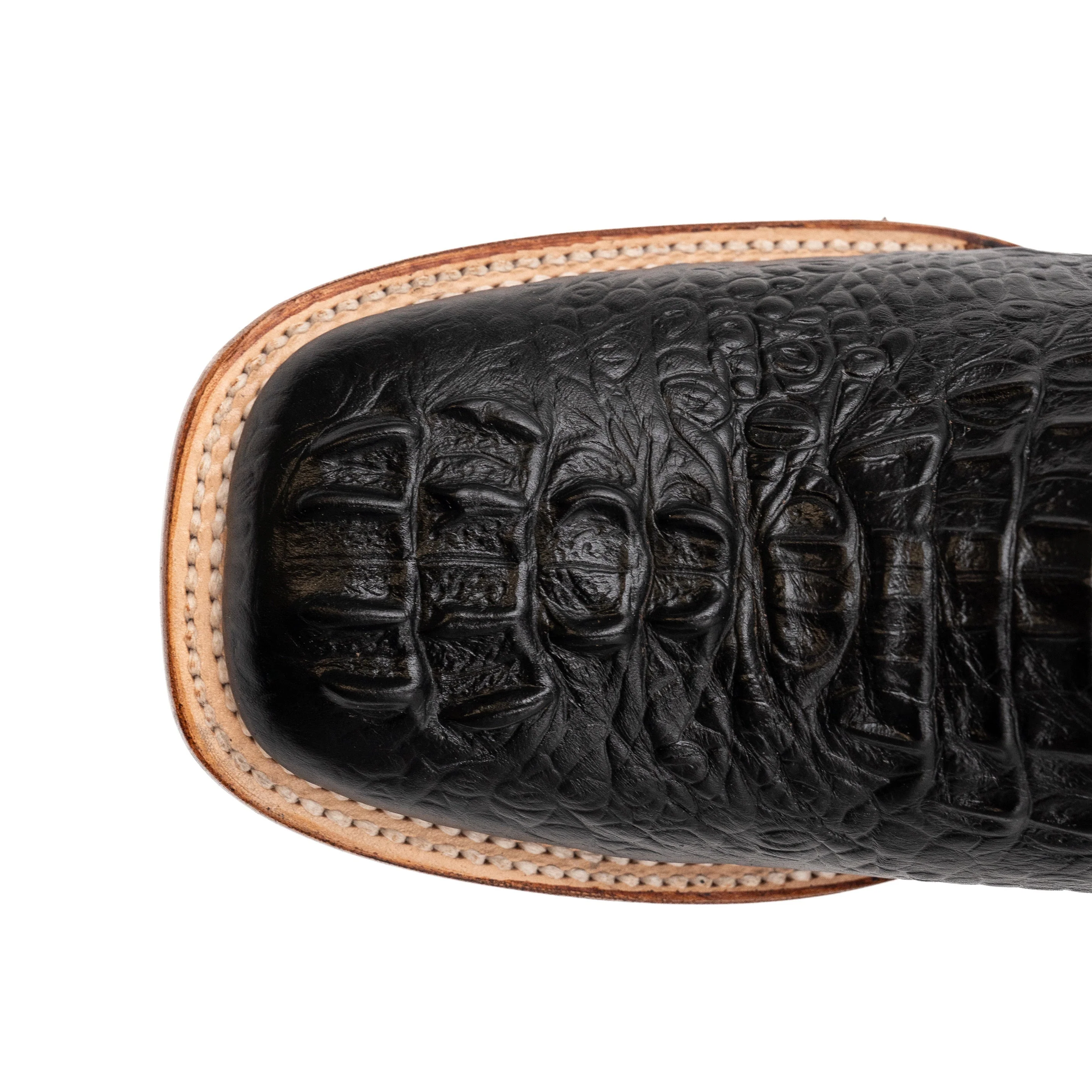Ferrini Stampede - Image 5