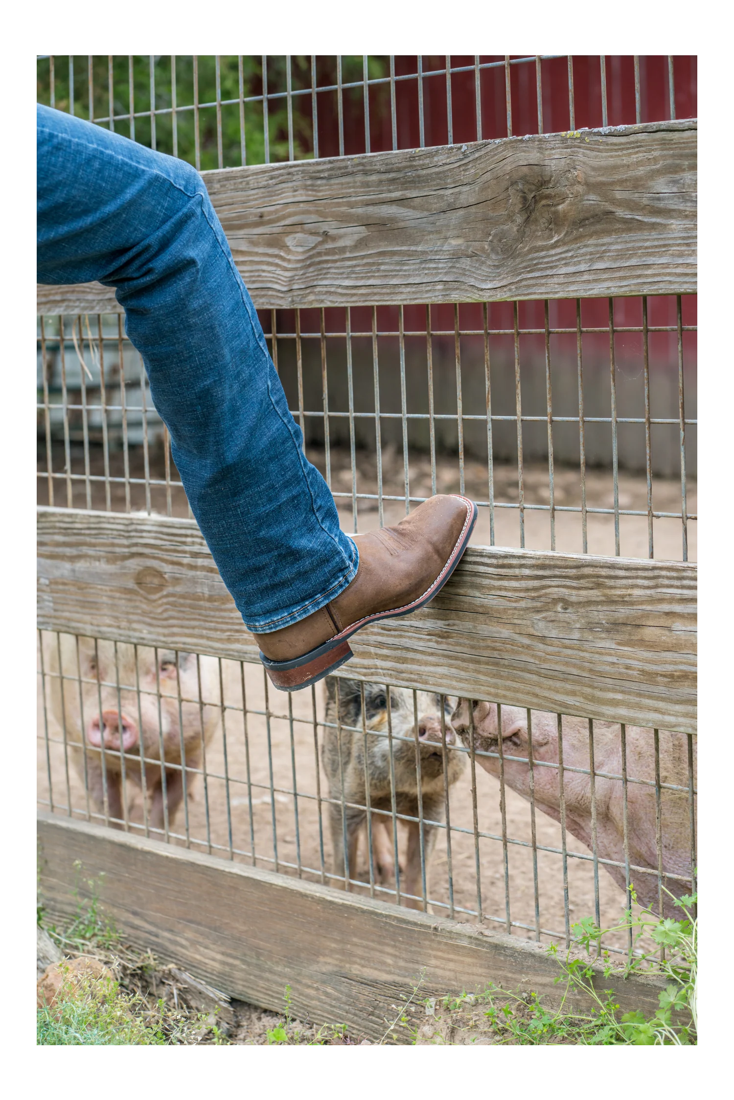 Laredo LODI LEATHER BOOT - Image 11