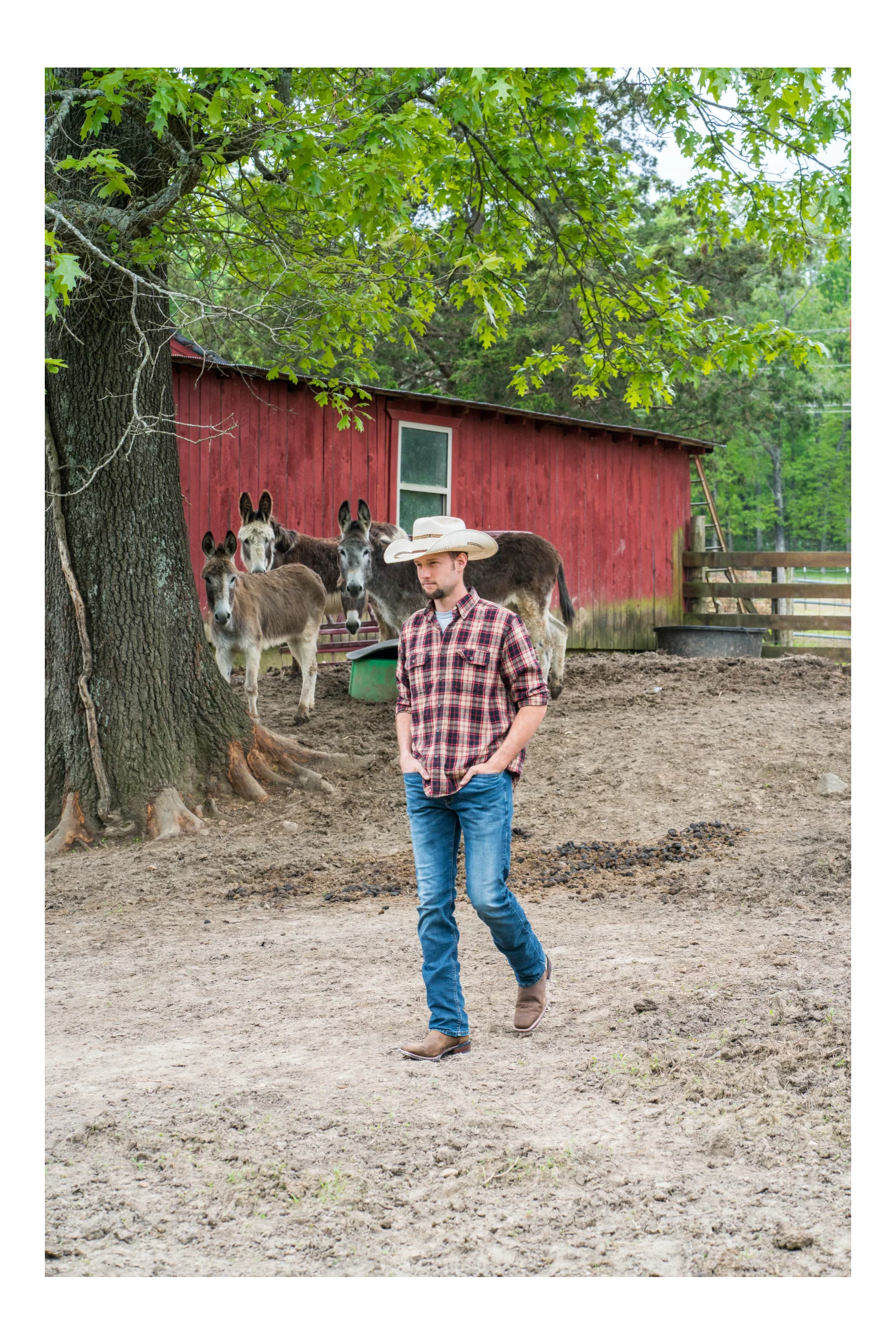 Laredo LODI LEATHER BOOT - Image 12