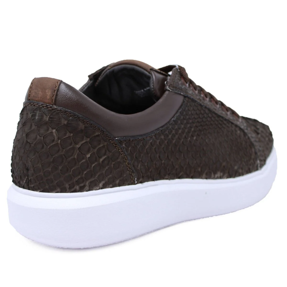Men's Genuine Full Python Skin Sneakers - Brown - Image 6